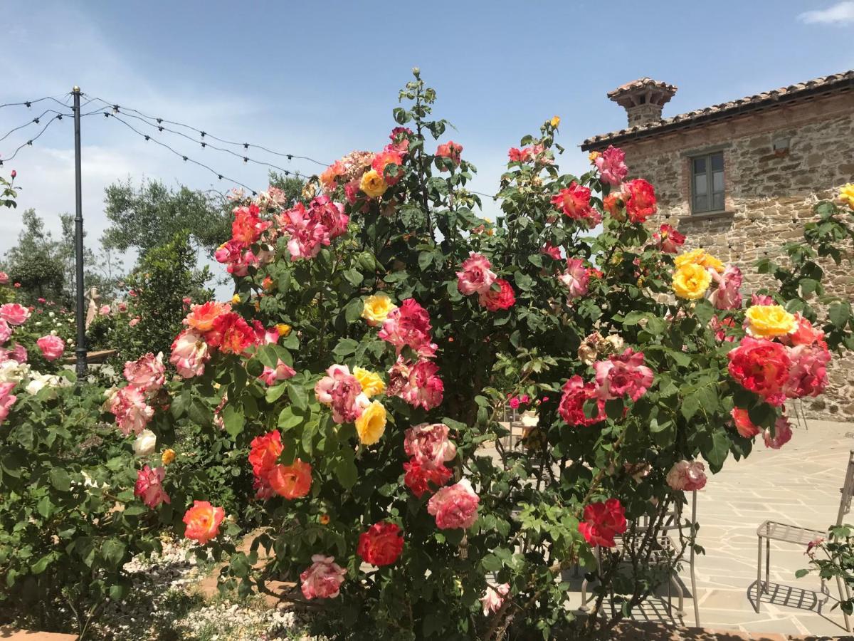 マジョーネ Podere Paradisoヴィラ エクステリア 写真