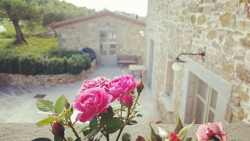 マジョーネ Podere Paradisoヴィラ エクステリア 写真