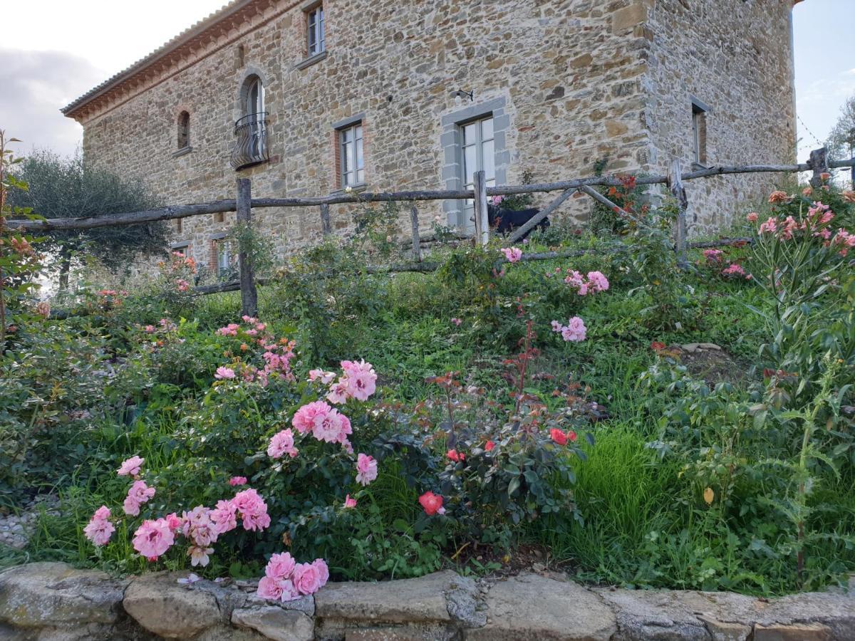 マジョーネ Podere Paradisoヴィラ エクステリア 写真